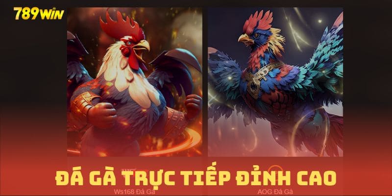 Thỏa mãn đam mê cùng đá gà trực tuyến