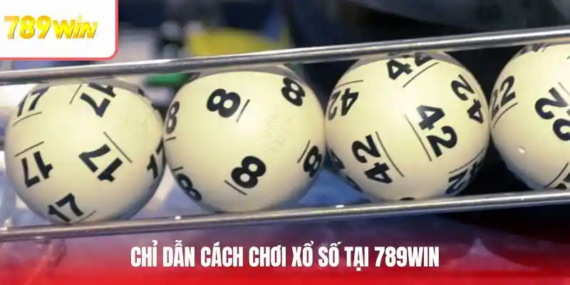 Chỉ dẫn cách chơi xổ số