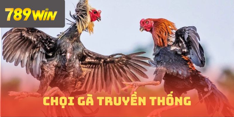 Hình thức chọi đòn truyền thống thu hút đông đảo hội viên