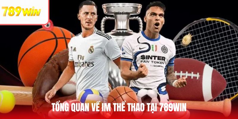 Giới thiệu chung về thương hiệu cá cược thể thao uy tín hàng đầu