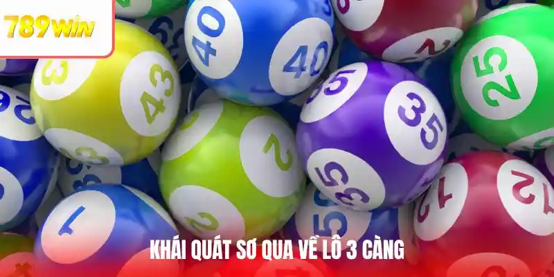 Khái quát sơ qua về lô 3 càng