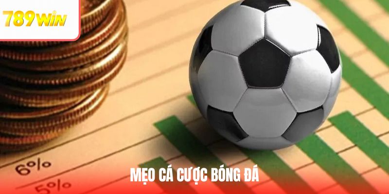 Top 7 Mẹo Cá Cược Bóng Đá Dành Cho Các Tân Thủ Mới