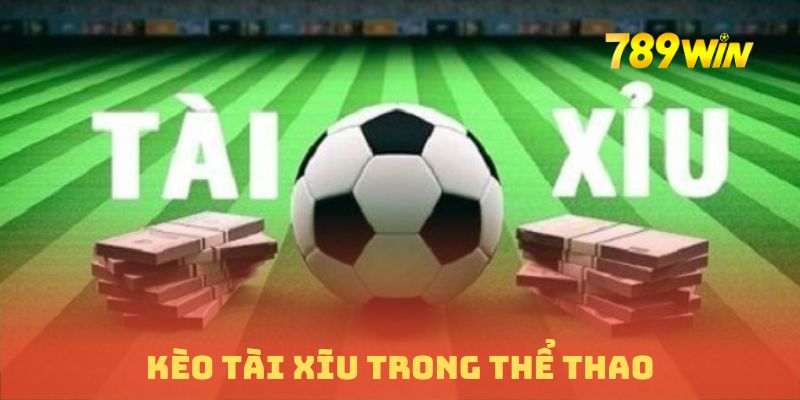 Đặt cược kèo tài xỉu trong sảnh thể thao 789WIN để tìm cơ hội thắng lớn